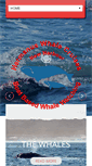 Mobile Screenshot of hermanus-whale-cruises.co.za